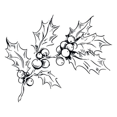 Mistletoe Drawing, Leaves Black And White, Christmas Sketch, Christmas Tattoo, Create Christmas Cards, Illustration Botanique, Holly Leaves, Holly Berry, White Illustration