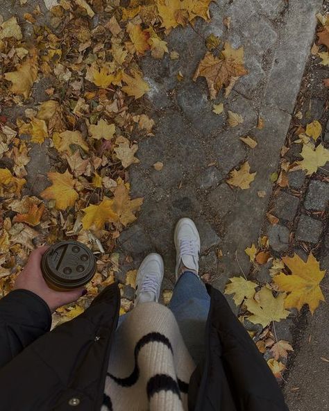 Cloudy Weather, Aesthetic Autumn, Aesthetic Photos, Aesthetic Aesthetic, Brown Aesthetic, Neutral Palette, Autumn Aesthetic, Fall Photos, Autumn Outfit