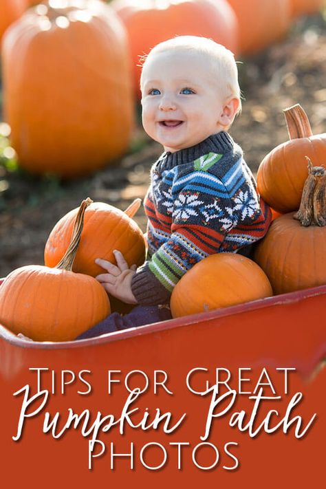 All the tips you need to take great pumpkin patch photos. Family Photo Pumpkin Patch, Mom And Son Pumpkin Patch Pictures, Toddler Pumpkin Patch Photos, Infant Pumpkin Patch Pictures, Pumpkin Patch Pictures Baby, Baby Pumpkin Patch Pictures, Pumpkin Patch With Friends, Pumpkin Patch Family Photos, Pumpkin Patch Photo Ideas