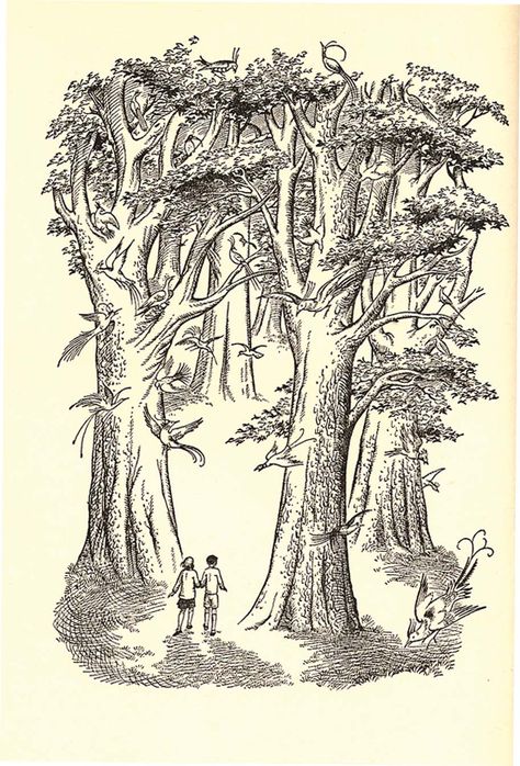 illustration by Pauline Baynes from The Silver Chair, Chronicles of Narnia Narnia Illustrations, Pauline Baynes, C.s. Lewis, The Silver Chair, Chair Photography, Narnia 3, The White Witch, Chair Covers Wedding, The Chronicles Of Narnia