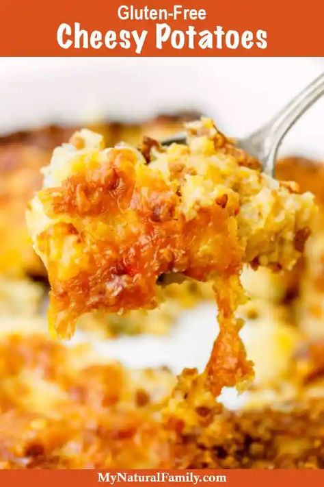 Cheesy Potatoes With Real Potatoes, Gluten Free Cheesy Potatoes, Clean Eating Thanksgiving Recipes, Cheesy Potatoes Recipe, Cheesy Potato Casserole, Gluten Free Sides, Gluten Free Potatoes, Holiday Dishes, Potato Side Dishes