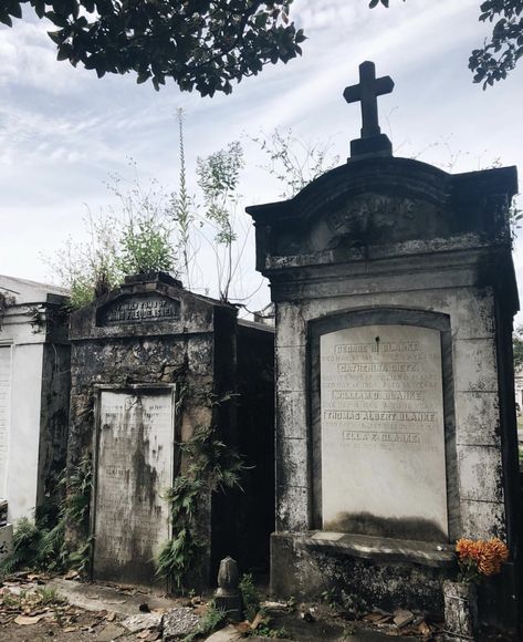 St Louis Cemetery No 1, New Orleans Cemeteries Photography, Louisiana Gothic, Brianna Aesthetic, New Orleans Cemetery, New Orleans Cemeteries, Lafayette Cemetery, Cemeteries Photography, New Orleans History