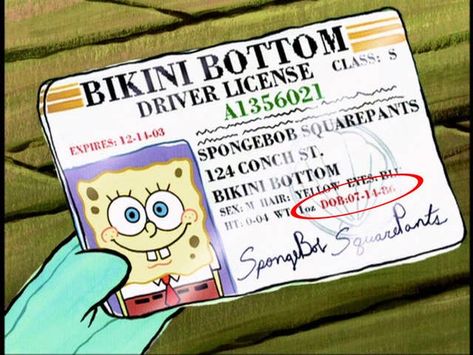 Doug Funnie, Boating License, Spongebob Birthday Party, Funny Morning Pictures, Spongebob Birthday, Drunk Humor, Driver License, Happy Birthday Meme, 29th Birthday