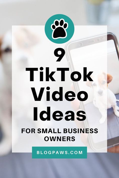 person taking a photo of a dog on their smartphone | 9 tiktok video ideas for small business owners Tiktok Video Ideas For Small Businesses, Small Business Tiktok Video Ideas, Tiktok Business Content Ideas, Tiktok Video Ideas List, Tik Tok Marketing, Tik Tok Tips, Grow On Tiktok, Business Social Media Posts, Tiktok Video Ideas