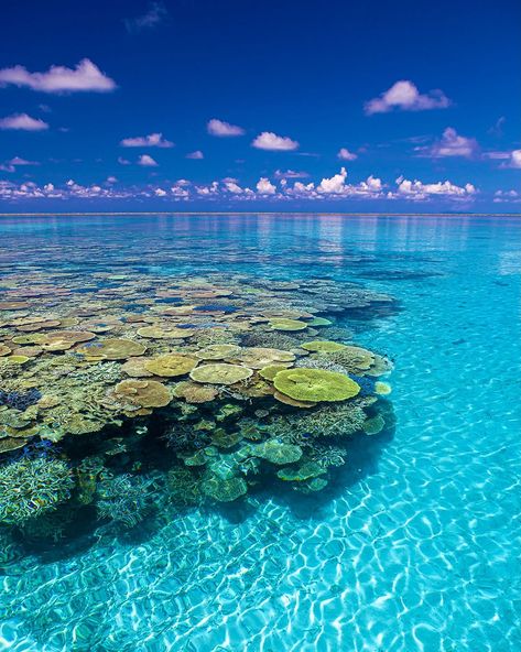 📍 Hatoma Island, Okinawa Captured by @atsushi_okiphoto Follow @his_travel to discover Japan 🌸 ------------------------------------------------- Destination Japan by HIS International Tours ------------------------------------------------- #DestinationJapan #HatomaIsland #OkinawaPrefecture #HiddenGem #ScenicOkinawa #PristineBeaches #CrystalClearWaters #JapaneseIslands #NaturalBeauty #ExploreOkinawa #VisitHatoma #TravelJapan #SereneEscape #StunningViews #CulturalHeritage #PeacefulRetreat #Tr... Japan Summer, Okinawa Japan, Japan Aesthetic, Aesthetic Japan, Remote Island, Dream Travel Destinations, Beautiful Scenery Nature, Okinawa, Asia Travel