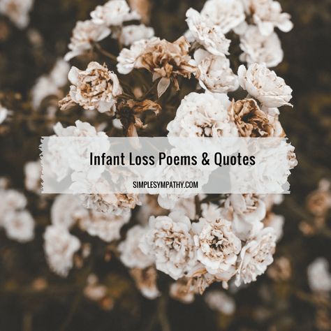 Stillbirth Memorial, Baby Poems, Sympathy Poems, Words Of Sympathy, Infant Loss Memorial, Losing A Baby, Infant Loss Awareness, Comfort Quotes, Child Loss