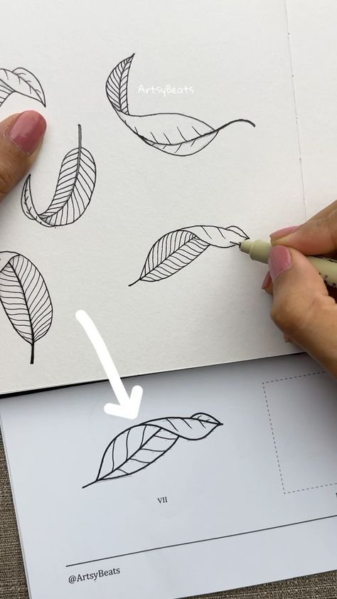 Learn to draw curved leaves 🍃 🚀 Step-by-step guide to draw leaves in different perspective is now available for download at my online… | Instagram Different Leaf Drawings, Drawing Leaves Easy, Botanical Line Drawing Step By Step, Drawing Leaves Step By Step, Falling Leaves Drawing, How To Draw Leaves, Flat Florals, Leaf Drawing Easy, Vines Drawing