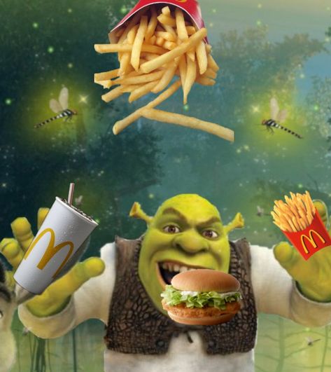 MEME Mcdonalds Memes Hilarious, Donald Meme, Mcdonalds Meme, Mcdonalds Aesthetic, Mc Chicken, Mcdonald's Aesthetic, Sigma Alpha, Lightning Mcqueen, Shrek