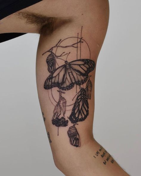 Caged Butterfly Tattoo, Butterfly Hatching Tattoo, Monarch Life Cycle Tattoo, Butterfly Coming Out Of Cocoon Tattoo, Monarch Chrysalis Tattoo, Butterfly Caterpillar Tattoo, Butterfly Emerging From Cocoon Tattoo, Butterfly Cocoon Tattoo, Cocoon Tattoo