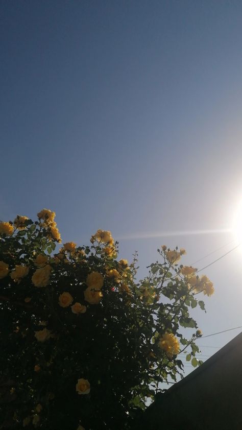 sunny day Sunny Aethestic, Nice Sunny Day Aesthetic, Sunny Day Photography, Sunny And Cloudy Aesthetic, Sunny Cloudy Aesthetic, Aesthetic Sunny Day, Sunny Day Aesthetic, Sunny Pictures, Day Aesthetic