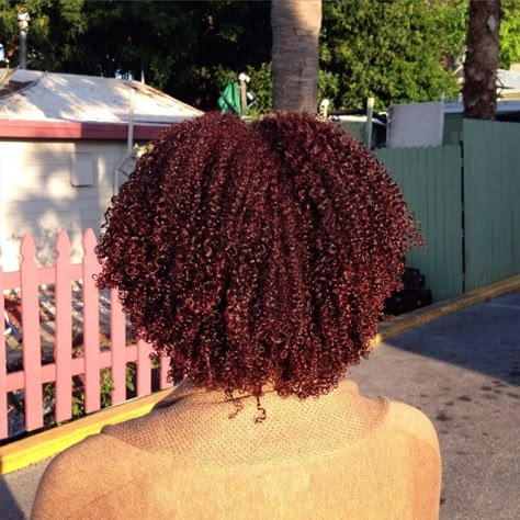 Dark Red Natural Hair, Burgundy Natural Hair, Shea Moisture Curl Enhancing Smoothie, Curl Enhancing Smoothie, Oil Gel, Red Hair Inspo, Shea Moisture, Stunning Hairstyles, Dyed Natural Hair