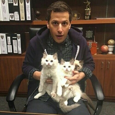 Andy Samberg Brooklyn 99 Cast, Brooklyn Nine Nine Funny, Brooklyn 9 9, Amy Santiago, Jake Peralta, Andy Samberg, Memes Lol, Hayden Christensen, Brooklyn Nine Nine