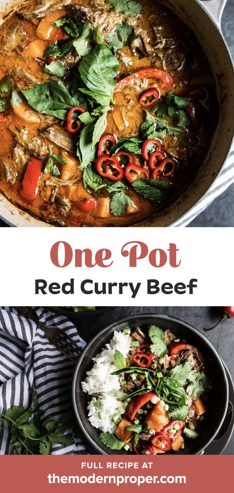 Beef simmered in creamy Thai red curry is the ultimate foil for the cold weather. Fragrant, rich, and a bit spicy, the dropping temps are no match for this one-pot super star. Thai Red Curry Beef, Red Curry Recipe, Curry Beef, Red Curry Sauce, The Modern Proper, Modern Proper, Beef Curry, Shredded Beef, Super Star