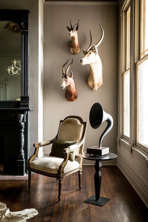 Taxidermy Decor Living Room, Hunting Decor Living Room, Deer Mount Decor, Deer Head Decor, Taxidermy Decor, Deer Heads, Hunting Decor, Trophy Rooms, Front Room