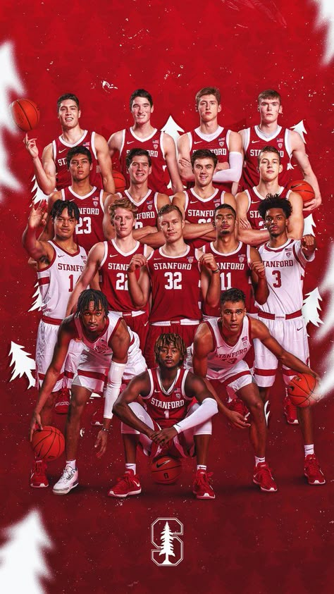 School Sports Posters, Baseball Poster Design, Team Poster Ideas, Pubmats Ideas, Sports Marketing Design, Basketball Team Pictures, Sports Team Photography, Sports Illustrations Design, Basketball Banners