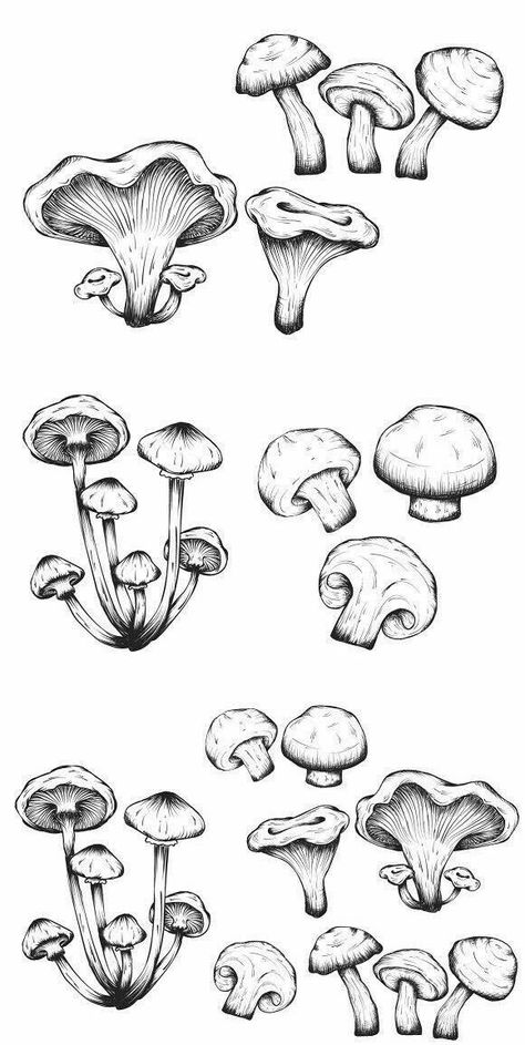 Mushroom Tattoos, Mushroom Drawing, Desenho Tattoo, Sunset Landscape, Arte Sketchbook, Arte Inspo, Mushroom Art, Flash Art, Drawing Set