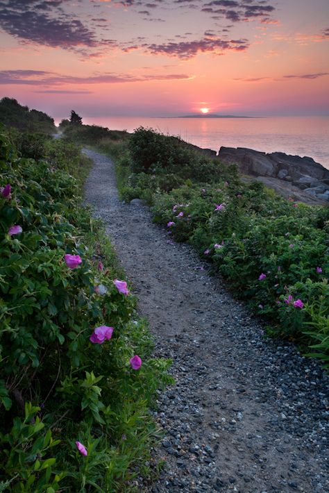 https://flic.kr/p/afJYX6 | Giant Stairs Trail, Bailey Island, Harpswell, Maine (6494) | Sunrise, Bailey Island.  Photographer: John Bald. For editorial or licensing, contact me at <a href="mailto:images@johnbald.net" rel="nofollow">images@johnbald.net</a>.  To order a print, please <a href="http://www.johnbald.net/gallery/prints.html" rel="nofollow">click here</a> for my prints page. Maine Scenery, Bailey Core, Bailey Island Maine, Cornwall Art, Harpswell Maine, Maine Aesthetic, Maine Summer, Maine Trip, Maine New England