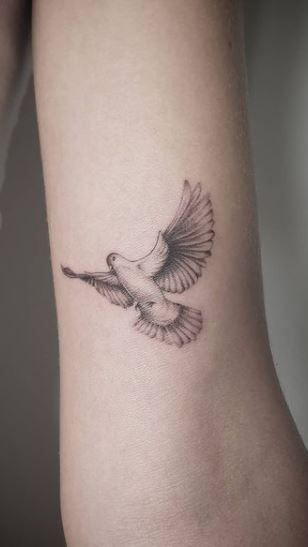 Dove Bicep Tattoo, Dove Collar Bone Tattoo, Mens Dove Tattoo Ideas, Morning Doves Tattoo, Men’s Dove Tattoo, Lion And Dove Tattoo, Bird Tattoo Dove, Different Bird Tattoos, Detailed Dove Tattoo