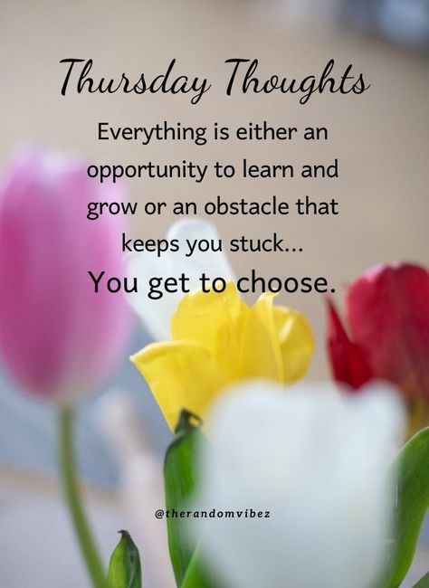 Thoughtful Thursday Quotes, Thursday Morning Quotes, Happy Thursday Morning, Thoughtful Thursday, Happy Thursday Images, Motivational Quotes For Work, Thursday Thoughts, Thursday Humor, Good Morning Happy Thursday