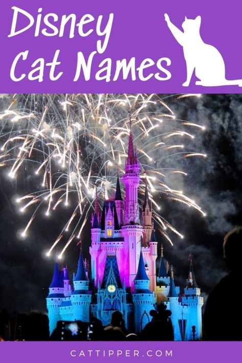 Disney Cat Names - CatTipper Disney Animal Names, Badass Cat Names, Disney Cat Names, Halloween Names For Cats, Boy Cat Names, Jungle Book Characters, Girl Cat Names, Film Alice In Wonderland, Unique Cat Names