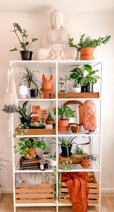 Plant Shelf Inspiration, Boho Bookshelf Styling Living Room, Plant Shelf In Living Room, Plant Shelf Bookshelf, Bookshelf Decor With Plants, Living Room Plant Corner, Bookcase With Plants, Plant Astethic Room Decor, Bookshelf Styling With Plants