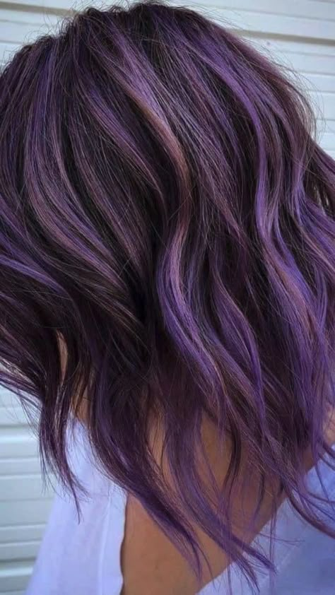 Color For Black Hair, Purple Hair Highlights, Vivid Hair Color, Hair Brunette, Lilac Hair, Highlights Hair, Hair Color Purple, Pretty Hair Color, Hair Color And Cut