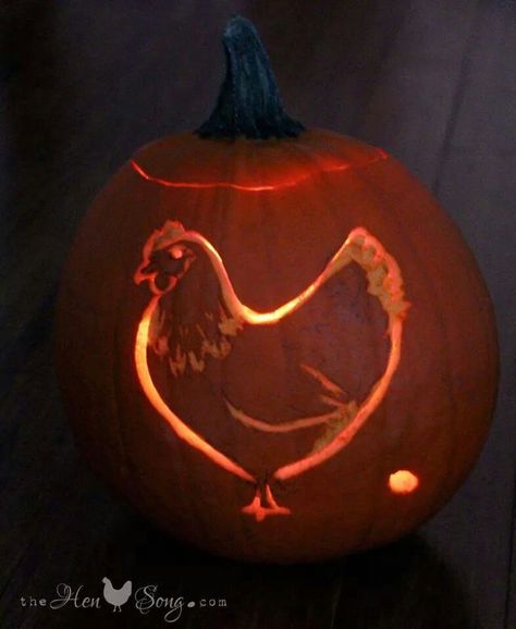 Chicken Pumpkin Carving, Awesome Pumpkin Carvings, Pumpkin Templates, Halloween Pumpkin Crafts, Cute Pumpkin Carving, Chicken Pumpkin, Pumkin Carving, Halloween Pumpkin Carving Stencils, Pumpkin Contest