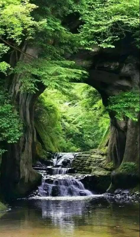 숲 사진, Taman Air, Small Waterfall, Enchanted Garden, Green Forest, Beautiful Waterfalls, Alam Yang Indah, Beautiful Tree, Fantasy Landscape