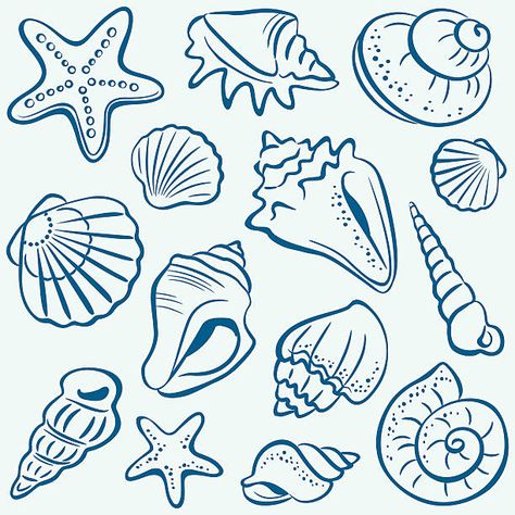 Seashell Drawing, Shell Drawing, Beach Drawing, Nautical Pattern, Small Wall Art, Painted Shells, Surf Art, Seamless Background, Pottery Painting