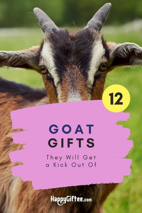 Pet Goat, Goat Gifts, Goats Funny, Goat Lover, Cute Goats, Cuddly Toy, Quirky Gifts, Zoo Animals, Animal Lovers