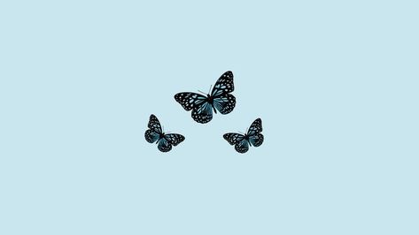 Wallpaper Backgrounds Aesthetic Laptop Blue, Blue Butterfly Desktop Wallpaper, Blue Butterfly Wallpaper Laptop, Butterfly Desktop Wallpaper Aesthetic, Aesthetic Simple Background, Blue Wallpaper For Laptop, Butterfly Wallpaper Laptop, Simple Butterfly Wallpaper, Simple Wallpapers Laptop