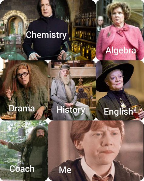 Hogwarts Subjects, Hogwarts Teachers, Hogwarts Professors, Movie Memes, Harry Potter Things, Coach Me, Harry Pottah, Chemistry, Hogwarts