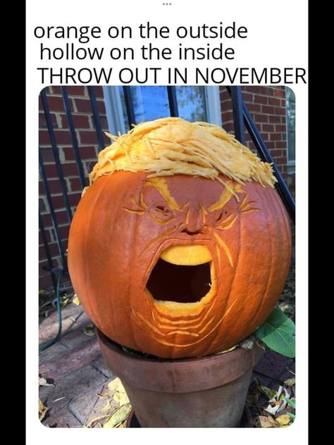 Funny Pumpkin Carvings, Halloween Meme, Happy Halloween Funny, Cute Pumpkin Carving, Halloween Pumpkin Carving Stencils, Creative Pumpkin Carving, Scary Pumpkin Carving, Halloween Memes, Pumpkin Carving Ideas