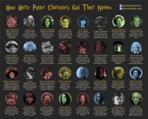 The True Meaning Of Each Harry Potter Character Name Explained | Inside the Magic Harry Potter Character Quiz, Harry Potter Characters Names, Hulk Character, Circus Characters, Harry Potter Potions, Harry Potter Spells, Character Types, Make An Infographic, Horror Music