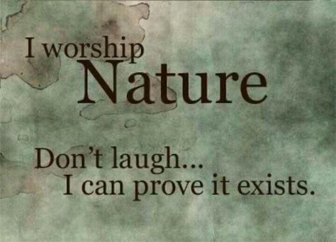 Back To Nature, Spell Book, A Sign, The Words, Wise Words, Worship, Me Quotes, Words Of Wisdom, Leadership