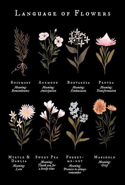 The Language Of Flowers, Seni Dan Kraf, Flower Guide, Flower Meanings, Nothing But Flowers, Flower Names, Language Of Flowers, Witch Aesthetic, Green Witch