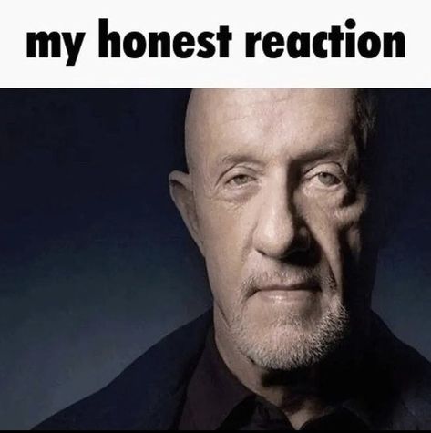 Breaking Bad Meme, Mike Ehrmantraut, My Honest Reaction, Jonathan Banks, Better Call Saul Breaking Bad, Honest Reaction, Bad Memes, Spanish Memes, Best Supporting Actor