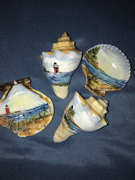 Painted seashells Sea Shell Art Painting, Painting On Seashells Ideas, Painted Seashells Ideas, Painted Conch Shells, Painted Shells Seashells, Sea Shell Painting, Painted Sea Shells, Painting Seashells, Seashell Art Diy