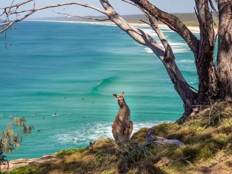 Stradbroke Island Australia, North Stradbroke Island, Saint Helena Island, Uk Pub, Stradbroke Island, Australia Tourism, Social Media Agency, Travel Marketing, Australian Travel