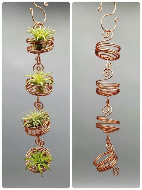 Hanging Plant Decor Ideas, Hanging Plant Decor, Air Plants Diy, Plant Decor Ideas, Air Plant Garden, Wire Plant, Copper Wire Crafts, Air Plant Hanger, Plant Display Ideas