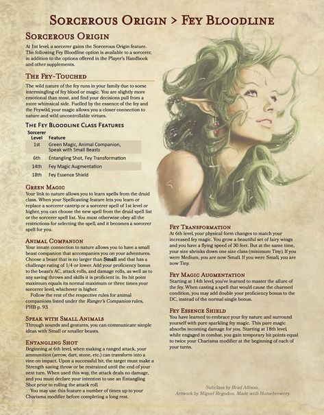 Sorcerous Origin, Dnd Sorcerer, Dungeons And Dragons Races, Dnd Druid, D D Races, Dnd Character Sheet, Dnd Stories, D D Classes, Dnd Classes