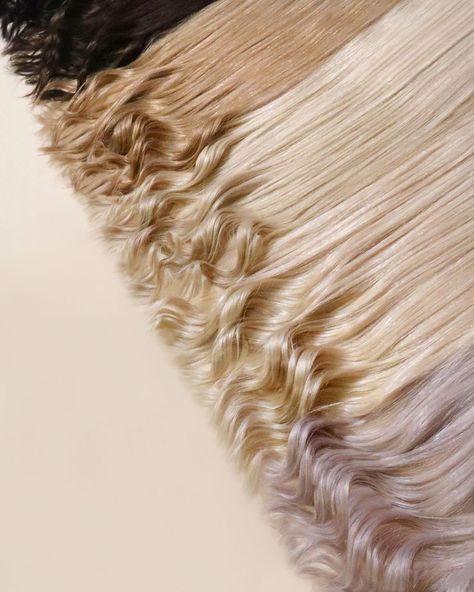 Zala Hair Extensions on Instagram: “A peek of our Zala color range! 👀⁣ ⁣ From icy blonde to our darkest shade of black, balayage, and highlights we are sure you'll find…” Zala Hair Extensions, Black Balayage, Content Photos, Champagne Blonde, Mega Hair, Icy Blonde, Dirty Blonde, Dark Shades, Honey Blonde