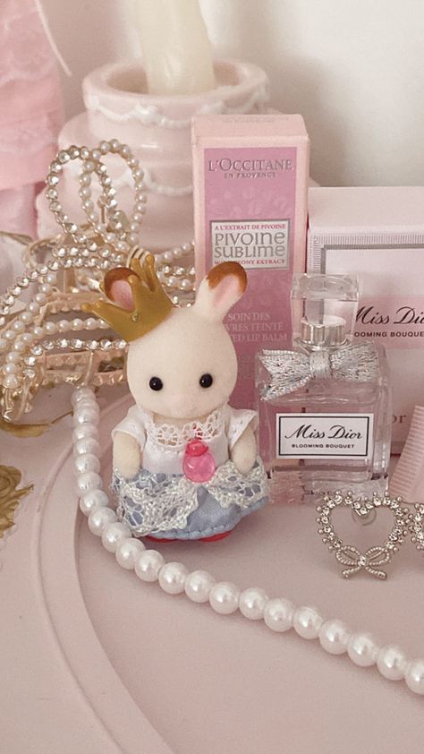 Coquette Sylvanian Families, Sylvanian Families Coquette, Sylvanian Families Aesthetic, Critters 3, Miss Dior Blooming Bouquet, Calico Critters Families, Sylvanian Family, Drawing Toys, Pretty Pink Princess