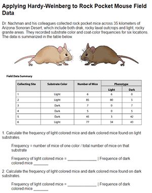 In this activity, students use real world data on the color distribution of rock pocket mice to show that evolution has occurred using the Hardy-Weinberg equation, which states that allele frequencies will change over time as a result of evolution. This activity can be included in a longer study on rock pocket mice that can be accessed at BioInteractive, where students can also watch a short video about the research on these desert mice. The worksheet is intended to be assigned after students... Evolution Activities, Biology Activities, Biology Experiments, Biology Activity, Biology Classroom, Biology Labs, High School Biology, Secondary Science, Ap Biology