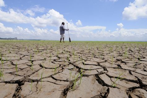 Earth Overshoot Day 2014 was August 19. Who is paying attention? - On Borrowed Time, Carter Roberts, Foreign Affairs, Aug 19, 2014 #globalsystem #overshoot #earth #governance #sustainability #resilience Earth Overshoot Day, Brazil Amazon, Global Food Security, Paris Agreement, Weather News, Civil Liberties, World Economic Forum, Southern Africa, Global News