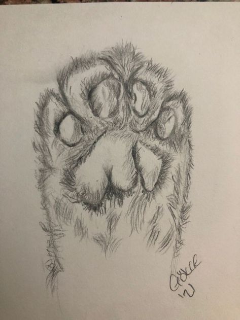 Cat Paws Sketch, Cat Paw Sketch, Paw Sketch, Paw Print Drawing, Cat Paw Drawing, Hand Pencil Drawing, Dog Paw Drawing, Paw Hand, Paw Drawing