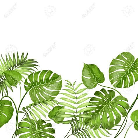 Jungle Forest, Hawaiian Party Decorations, Leaves Design, Design Text, Hawaiian Party, Flower Doodles, Pale Green, Tropical Leaves, Duvet Cover Set