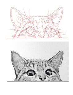 Wildlife Drawings, Cat Drawing Tutorial, Cats Art Drawing, Pen Art Drawings, Cat Hacks, Cat Sketch, Tattoo Stencil Outline, Desenho Tattoo, Arte Sketchbook