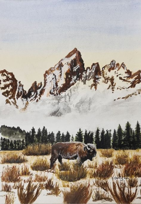 Western Acrylic Painting Ideas, Yellowstone Drawing, Wyoming Painting, Western Watercolor Paintings, Montana Watercolor, Bison Drawing, Montana Painting, Bison Illustration, Bison Watercolor