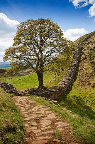 21 Surreal Places In The UK To Add To Your Bucket List. This one's Hadrian's Wall. Hood Movie, Sycamore Gap, Emperor Hadrian, Surreal Places, Cumbria England, Uk Places, Northumberland England, Hadrian’s Wall, Hadrian's Wall